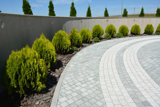Best Concrete Paver Driveway  in Auburn, IL
